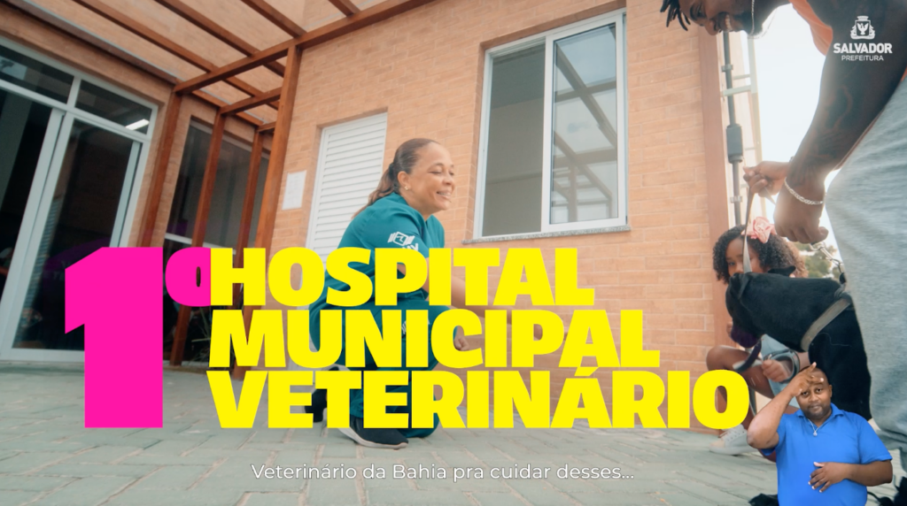 PMS – Hospital Veterinário Municipal